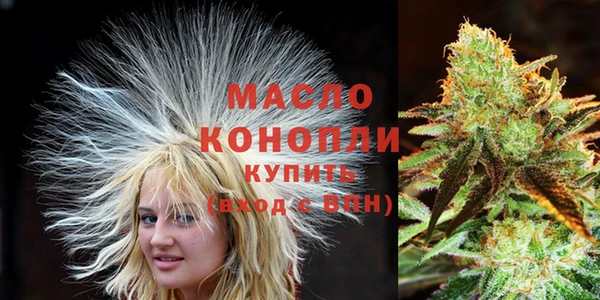 гидра Верхний Тагил