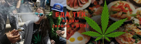 гидра Верхний Тагил