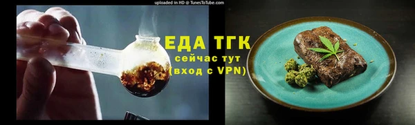 гидра Верхний Тагил