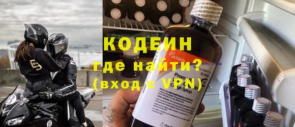 молекула духа Вяземский