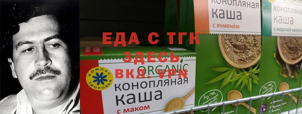 гидра Верхний Тагил