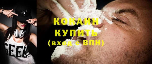молекула духа Вяземский