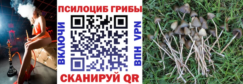 Псилоцибиновые грибы MAGIC MUSHROOMS  Великий Устюг 